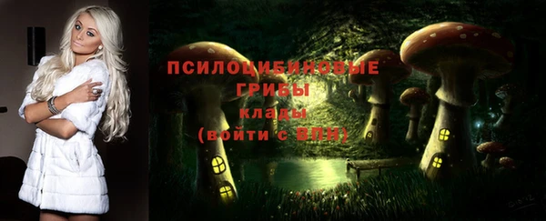 jwh Верхний Тагил