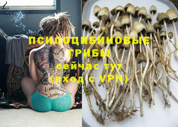 jwh Верхний Тагил